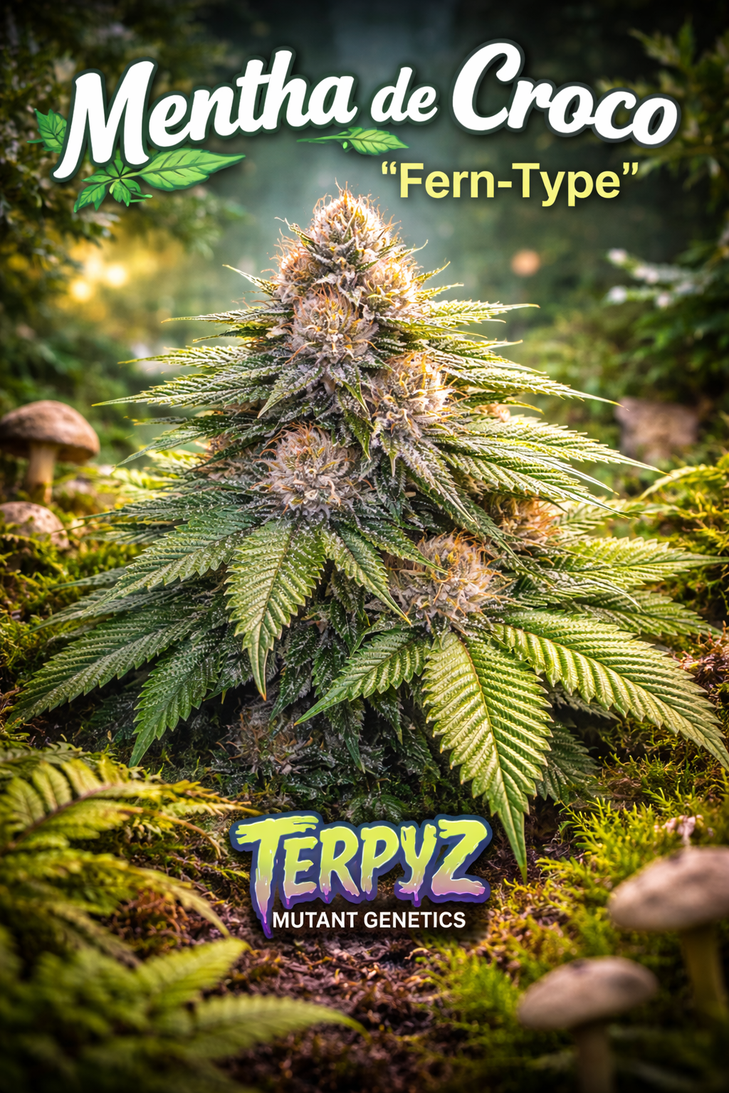 Hyper-realistic Mentha de Croco “Fern-Type” cannabis plant with distinctive fern-like mutant leaves, dense trichome-covered buds, natural forest floor elements, and “Mentha de Croco – Fern-Type – TerpyZ Mutant Genetics” branding in a vivid woodland-themed layout.