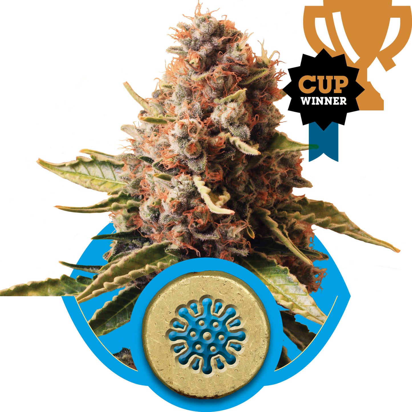 Royal Queen Seeds Euphoria CBD Feminised Seeds seed packaging