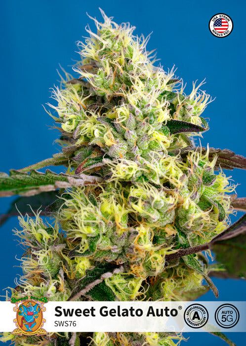 Sweet Seeds Sweet Gelato Auto Feminised Seeds seed packaging