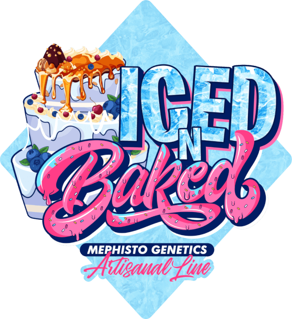 Mephisto Genetics Iced 'n' Baked Auto Feminised Seeds seed packaging
