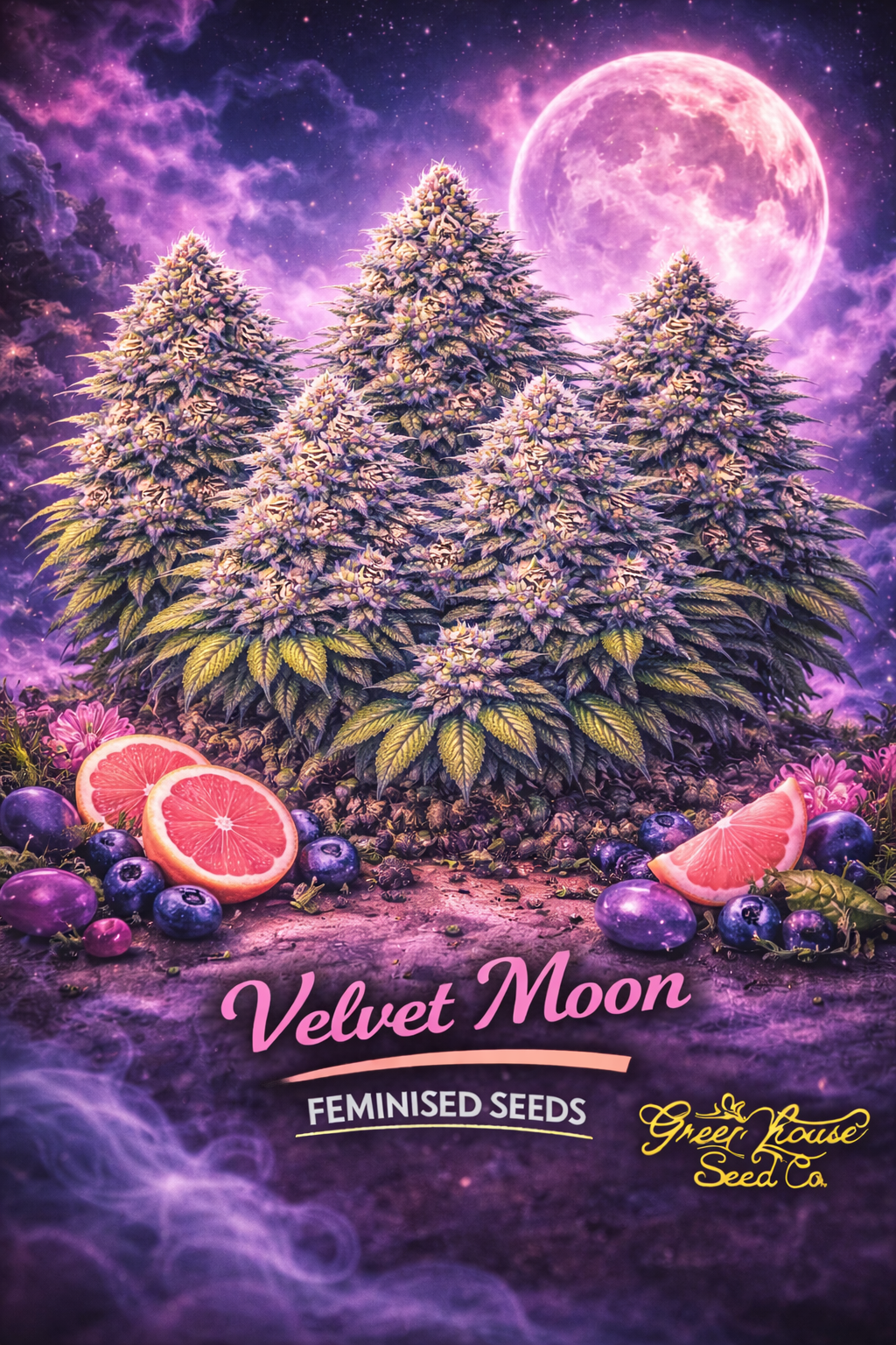 A realistic Velvet Moon cannabis plant cluster under a glowing purple moon with berries and grapefruit in the foreground, with the strain name and Greenhouse Seed Co. logo visible.