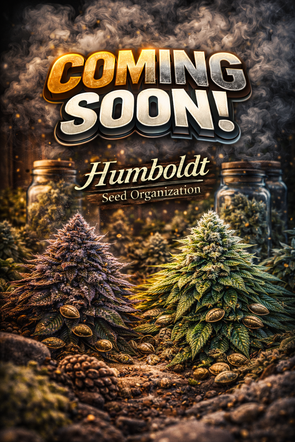 Pineapple Chem Auto Feminised Seeds – Humboldt Seed Org. – Coming Soon Placeholder Image