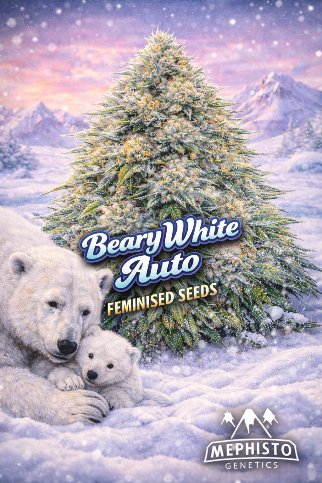 beary white auto feminised seeds image — hyper-realistic frosty cannabis plant covered in icy trichomes, snowy arctic landscape, polar bear with cub resting in snow, cold blue-white colour palette, bold icy strain name text, mephisto genetics logo, uk-compliant promotional artwork for laughing leaf seeds