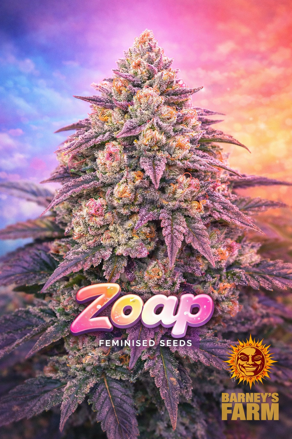 Zoap cannabis plant artwork showing a colourful, frosty bud structure with pink, purple, and orange tones, set against a vibrant gradient sky background. Large multicolour “Zoap Feminised Seeds” text sits at the bottom, with the Barney’s Farm logo placed on the lower right.
