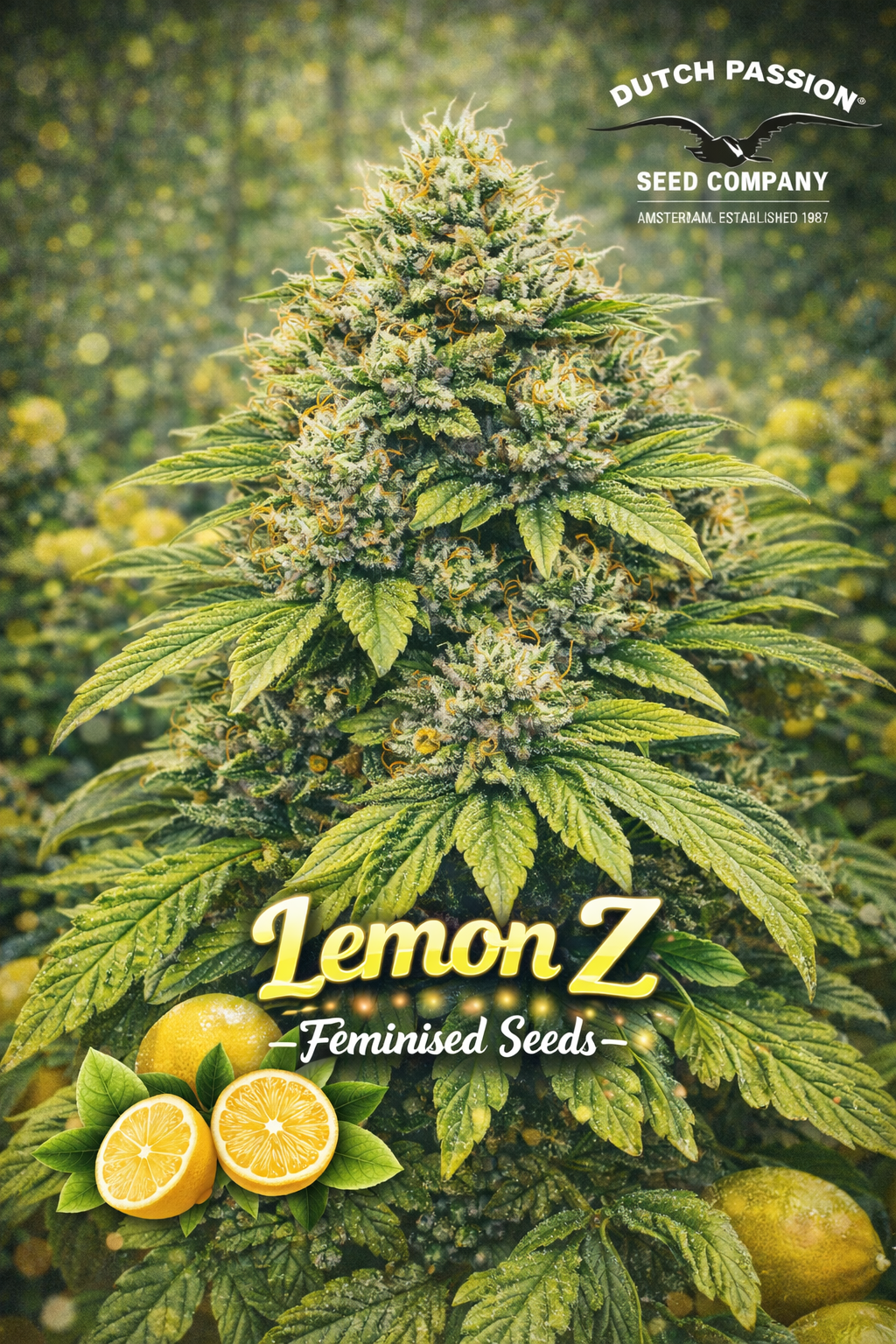 High-detail promotional artwork of Lemon Z Feminised Seeds by Dutch Passion, featuring a resin-rich cannabis plant with bright lemon-themed colours, bold yellow strain typography, fresh lemon slices, and the Dutch Passion logo. No cultivation imagery shown.