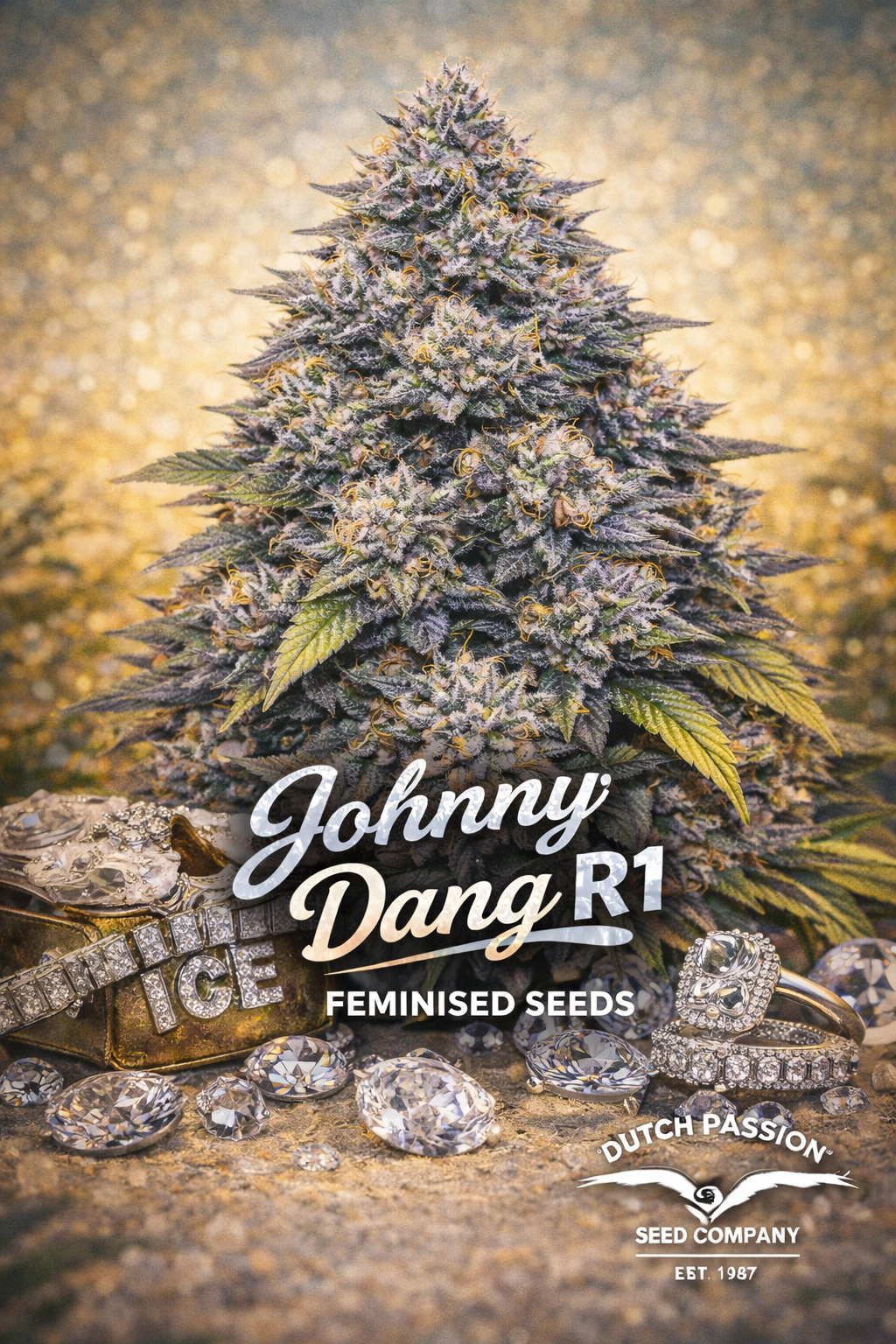 Hyper-realistic promotional artwork of Johnny Dang R1 cannabis plant with dense frosty purple and green buds, set against a golden bokeh background. Below the plant are diamond jewellery pieces including rings, loose gems, and an iced-out bracelet. Bold metallic-style strain name text and breeder branding are displayed clearly.