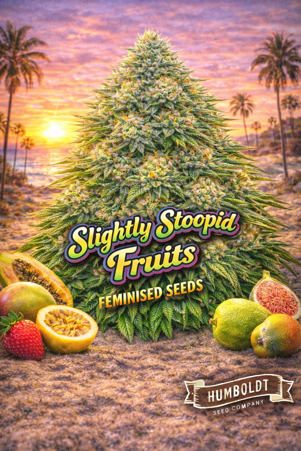 slightly stoopid fruits feminised seeds image — hyper-realistic frosty cannabis plant with long green blades and pale yellow-orange pistils, tropical sunset beach background, assorted ripe fruits including strawberry, passionfruit, fig, papaya and guava arranged around the foreground, bold colourful strain name text, humboldt seed co logo, uk-compliant promotional artwork for laughing leaf seeds