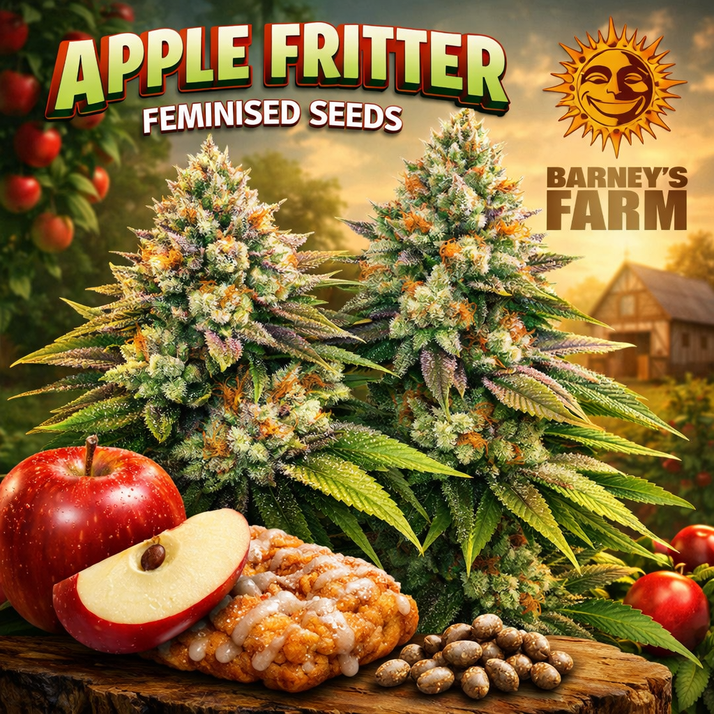 Apple Fritter Feminised Seeds by Barney’s Farm — high-detail cannabis plant image with frosty buds, warm orchard background, red apples, apple-fritter pastry and Barney’s Farm logo, promotional product artwork for UK seed collectors.