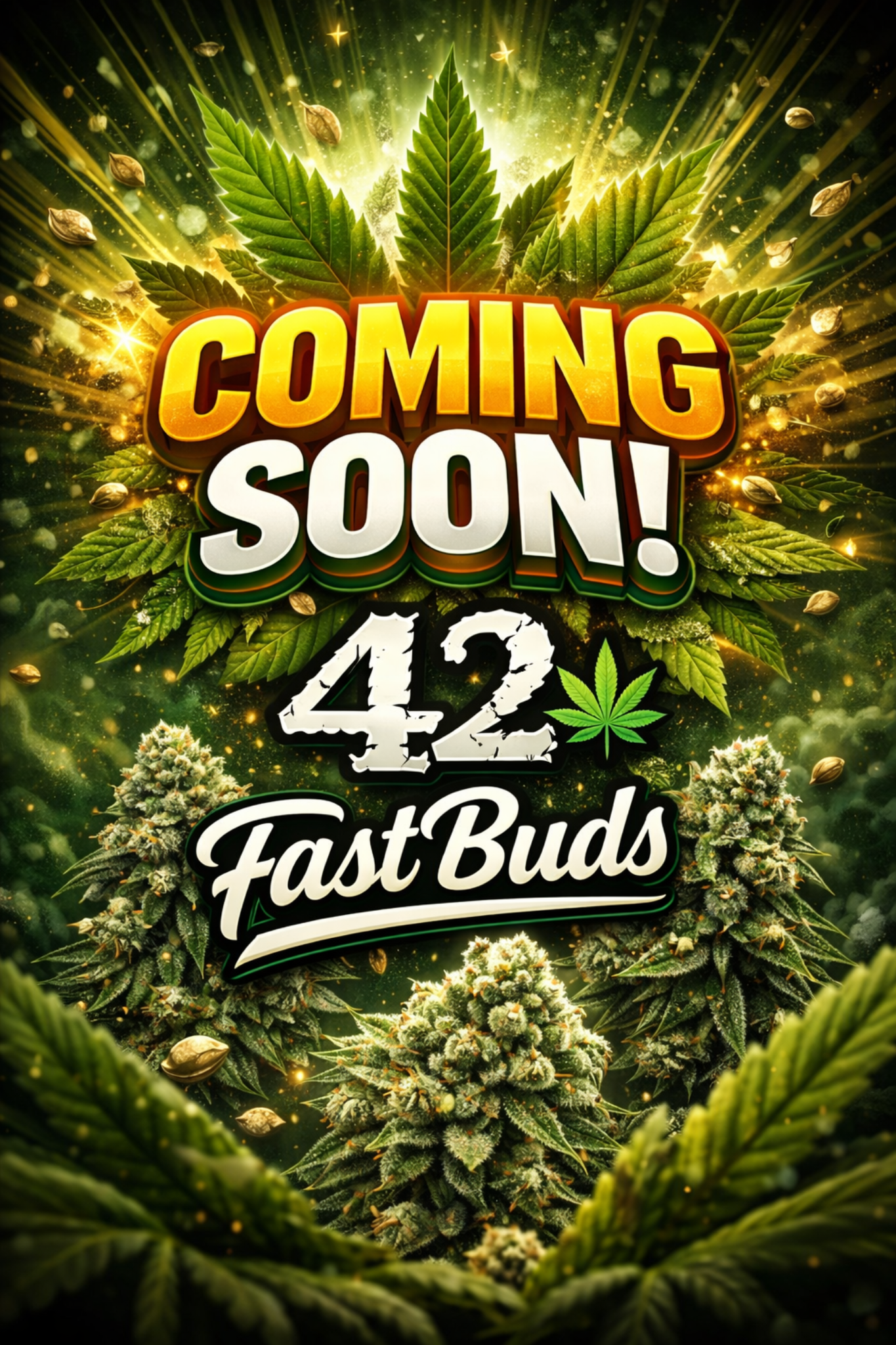 Ztrawberriez Auto Feminised Seeds – Fast Buds – Coming Soon Placeholder Image