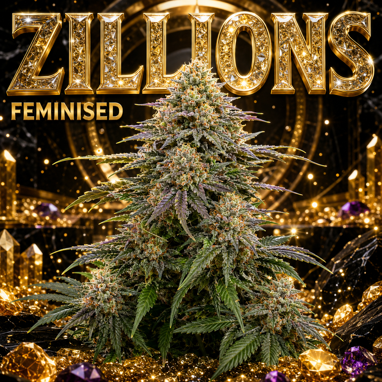 A large, feminized cannabis plant with dense buds stands in a luxurious, highly stylized setting. The background is dark and black with glowing gold crystals, candles, and sparkling lights, topped with large, glittering gold text that reads 'ZILLIONS' and 'FEMINISED'.
