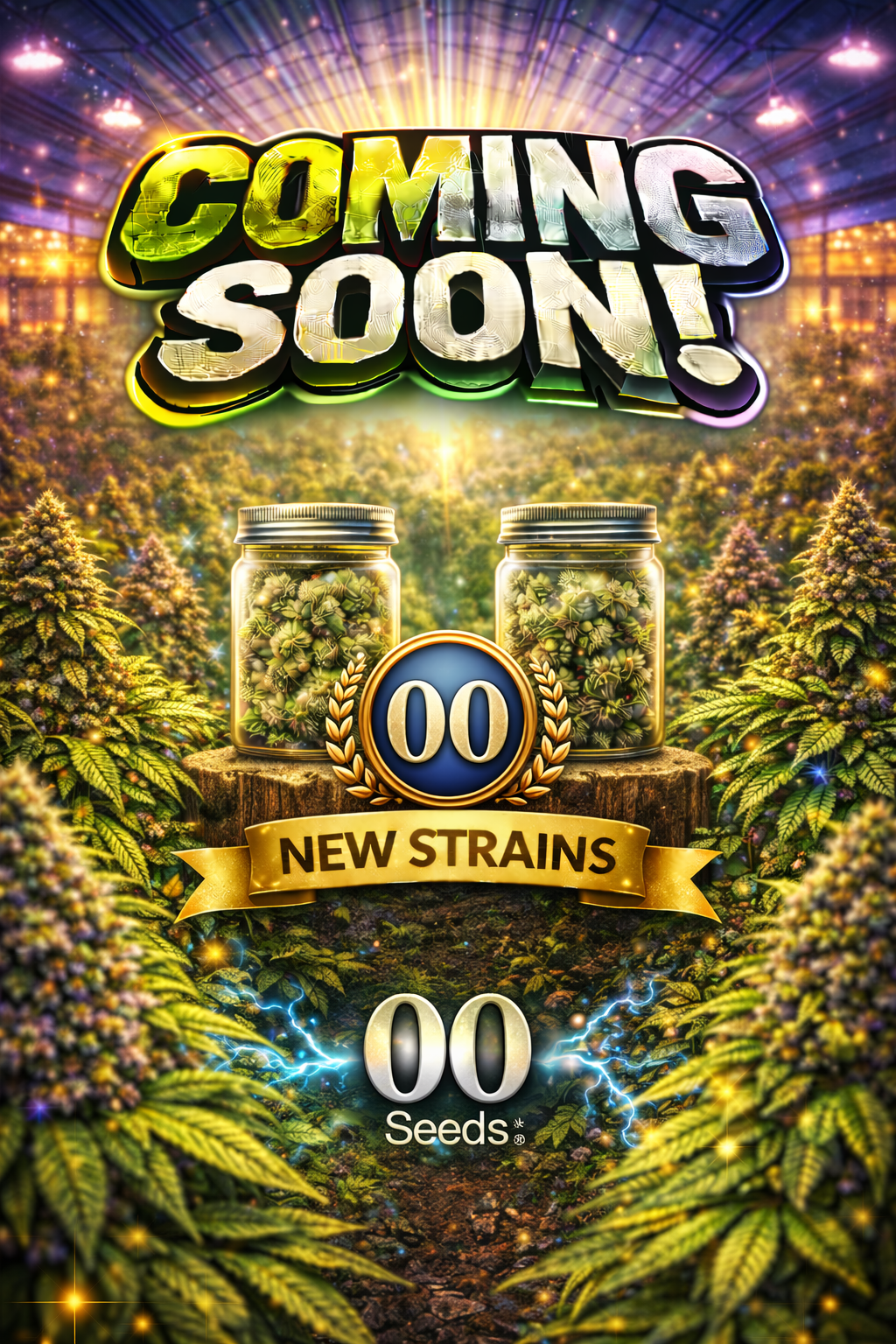 Chocolate Cream Feminised Seeds – 00 Seeds – 00 Seeds cannabis seeds (coming soon)