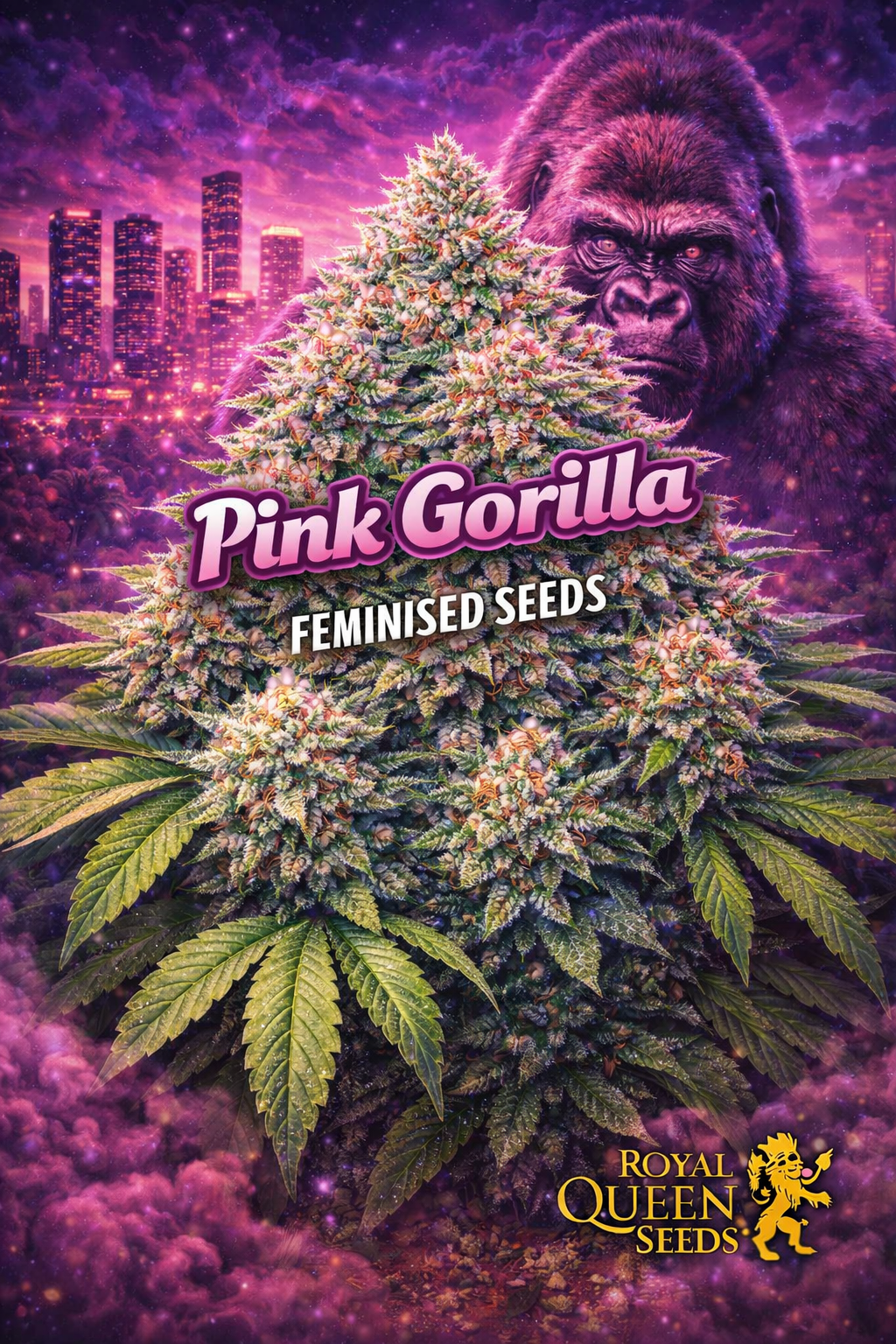 pink gorilla feminised seeds image — hyper-realistic frosty cannabis plant with pink, purple and green buds, large detailed fan leaves, neon-lit city skyline in the background, intense pink gorilla with glowing eyes behind the plant, bold pink strain name text, royal queen seeds logo, uk-compliant promotional artwork for laughing leaf seeds
