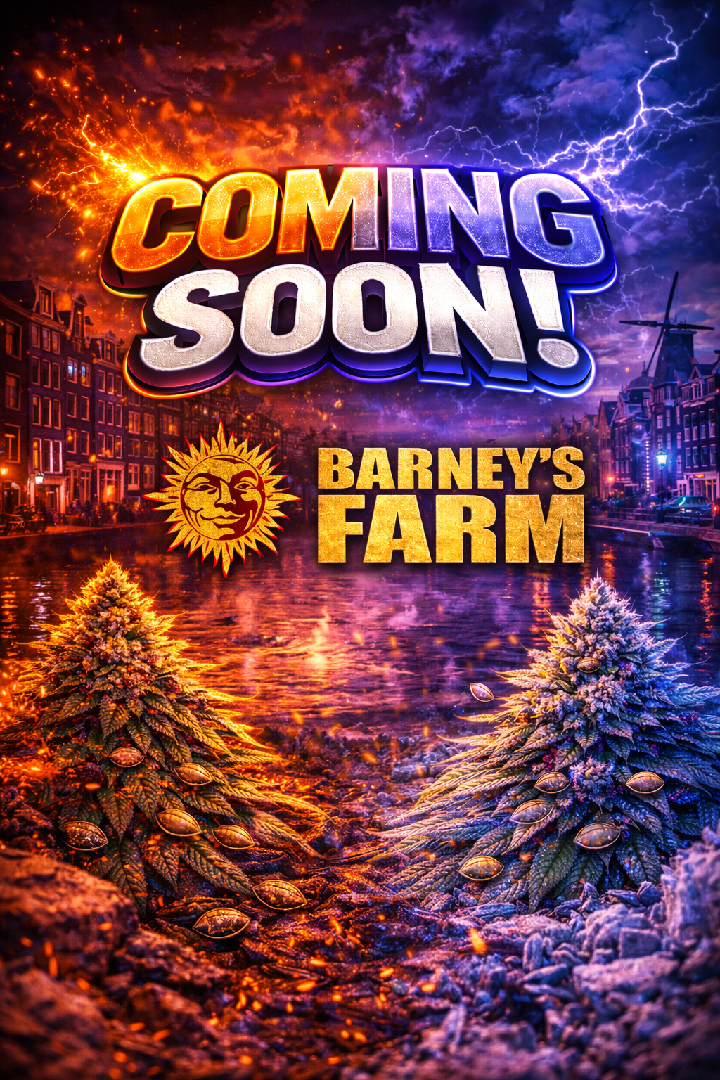 Frosted Zinn x 3 Bears OG Auto Feminised Seeds – Barney's Farm – Coming Soon Placeholder Image