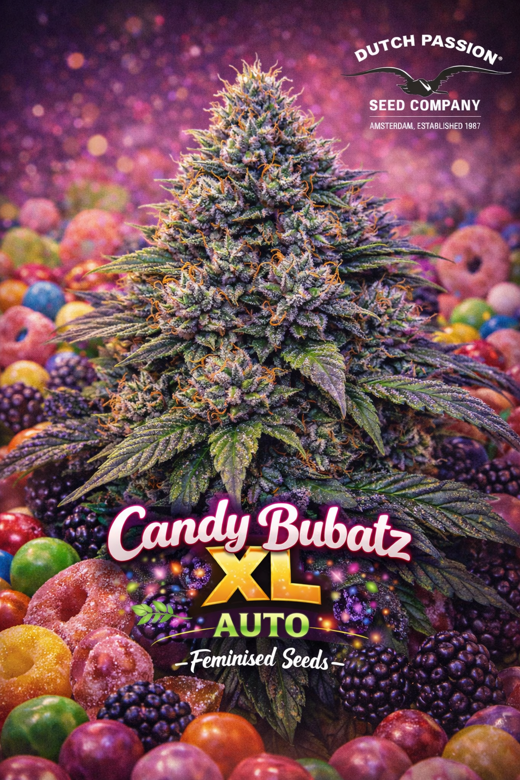High-detail promotional artwork of Candy Bubatz XL Auto by Dutch Passion, featuring a colourful, resin-rich cannabis plant surrounded by vibrant gummy candies and berries, bold playful strain typography, and the Dutch Passion Seed Company logo. No cultivation imagery shown.