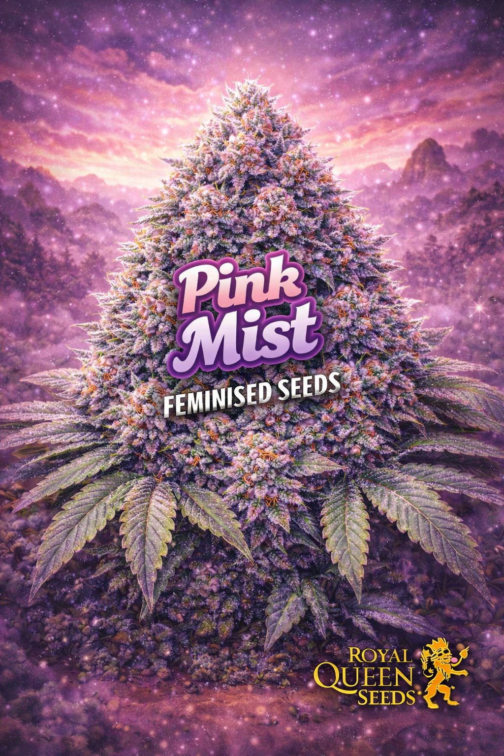 pink mist feminised seeds image — hyper-realistic frost-covered cannabis plant with dense pink and purple-tinted buds, large green fan leaves, dreamy purple mist and mountain silhouette in the background, bold pink strain name text, royal queen seeds logo, uk-compliant promotional artwork for laughing leaf seeds