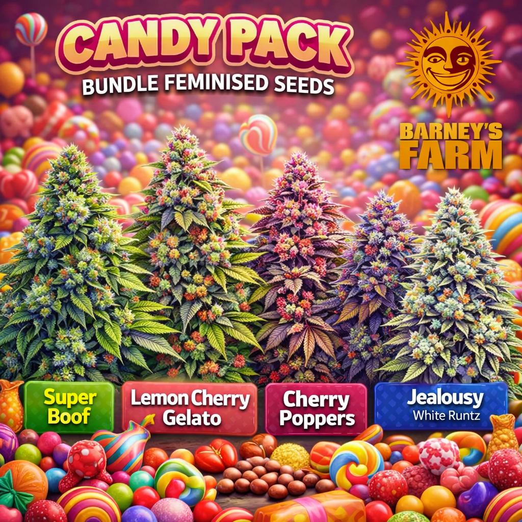 “Candy Pack Bundle Feminised Seeds by Barney’s Farm — promotional artwork featuring five distinct cannabis plants representing Super Boof, Lemon Cherry Gelato, Cherry Poppers, Jealousy, and White Runtz, set in a colourful candy-themed background with branded labels for UK seed collectors.