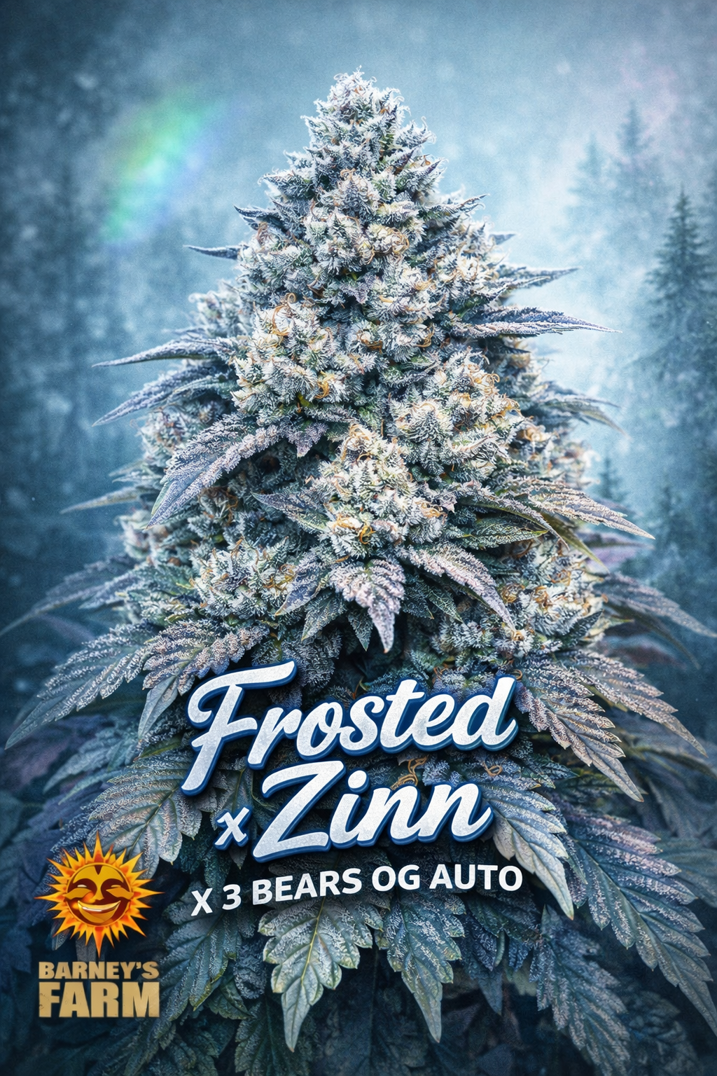 High-definition artistic collector’s image of a Frosted Zinn x 3 Bears OG Auto cannabis plant with heavy frosted trichomes and complex branching, featuring mixed green-purple tones and chunky resinous buds. Background shows a cool, icy gradient with soft haze, giving a “frosted” atmosphere. Strain name displayed clearly at the bottom in a unique stylised font, with the Barney’s Farm logo placed subtly and smaller than the text. Fully UK-compliant promotional artwork with no cultivation equipment.