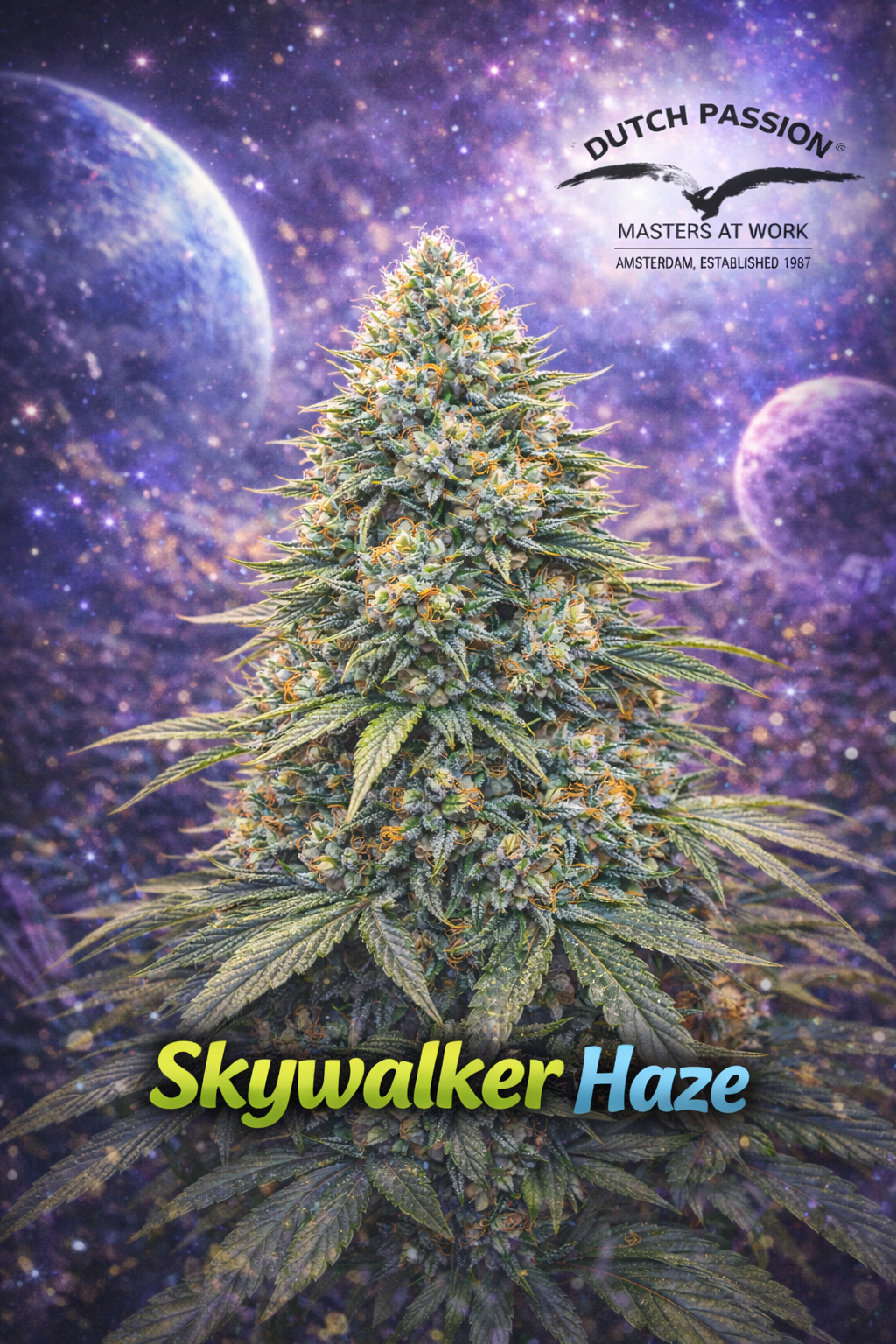 Skywalker Haze cannabis plant promotional artwork with frosty dense buds, cosmic space-themed background featuring planets and nebulae, Dutch Passion logo, and bold strain name at the bottom