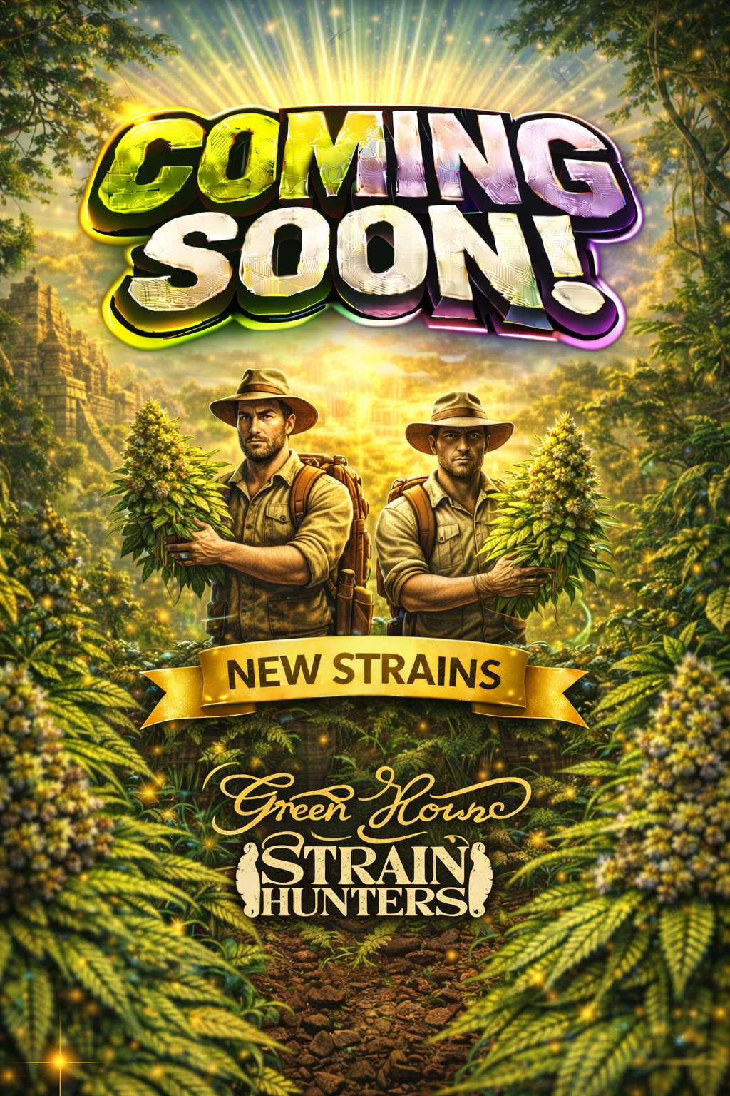 Super Lemon Haze x Pink Candy Feminised Seeds – Greenhouse - Strain Hunters – Greenhouse - Strain Hunters cannabis seeds (coming soon)