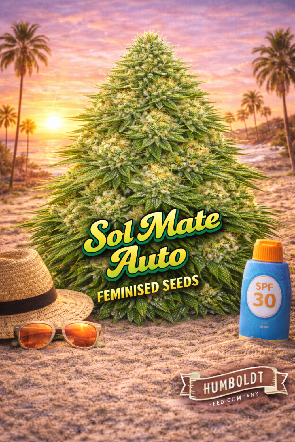 sol mate auto feminised seeds image — hyper-realistic bright green frosty cannabis plant on a sunny beach at sunset, warm orange–pink sky, straw hat and sunglasses on sand, blue spf30 sunscreen bottle, bold sol mate auto text, humboldt seed co logo, uk-compliant promotional artwork for laughing leaf seeds