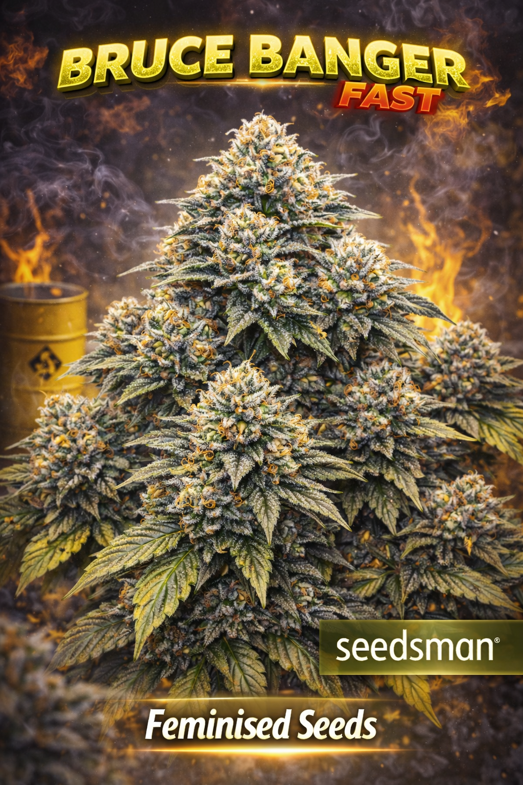 Hyper-realistic Bruce Banger Fast Feminised cannabis plant with multiple dense, resin-covered buds, thick branching structure, fiery orange and smoke-filled background, and bold “Bruce Banger Fast – Feminised Seeds – Seedsman” branding.
