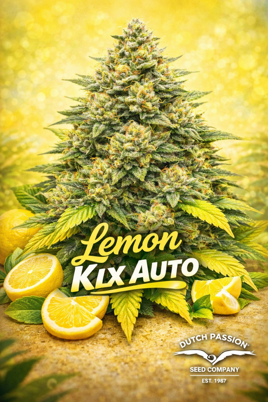 Hyper-realistic promotional artwork of Lemon Kix Auto cannabis plant with dense frosty buds in green, yellow, and citrus-toned colours, set against a bright yellow background. Fresh lemon slices and leaves appear at the bottom. Bold yellow-and-white strain name text and the Dutch Passion logo are displayed clearly.