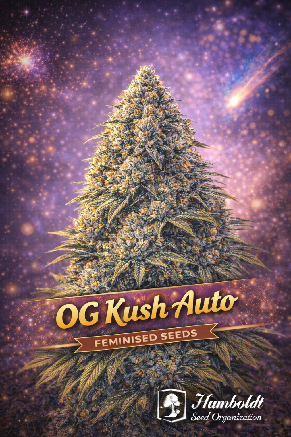 OG Kush Auto Feminised cannabis plant with dense frosty buds and orange pistils, set against a vibrant cosmic background with nebula and comet effects, featuring bold strain branding and the Humboldt Seed Organization logo.