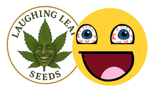 Laughing Leaf Seeds branding featuring the company logo and happy emoji.