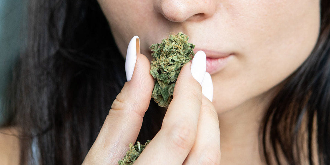 Woman holding a cannabis bud close to her face for inspection.