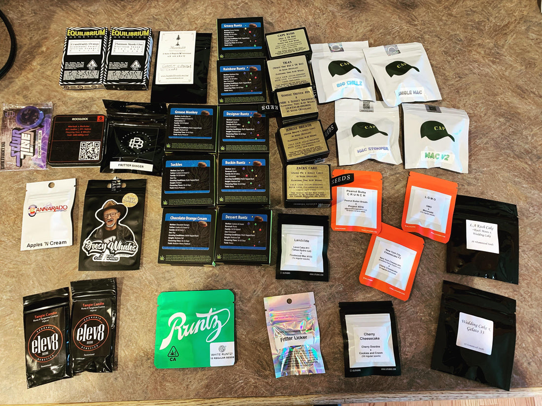 Cannabis seed collection showing multiple seed branded packets.