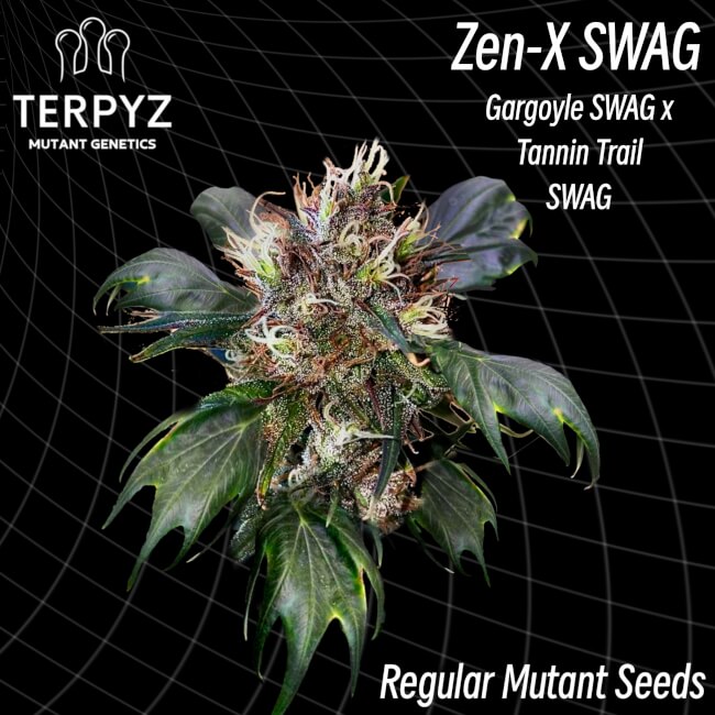 TerpyZ Mutant Genetics Logo and plant