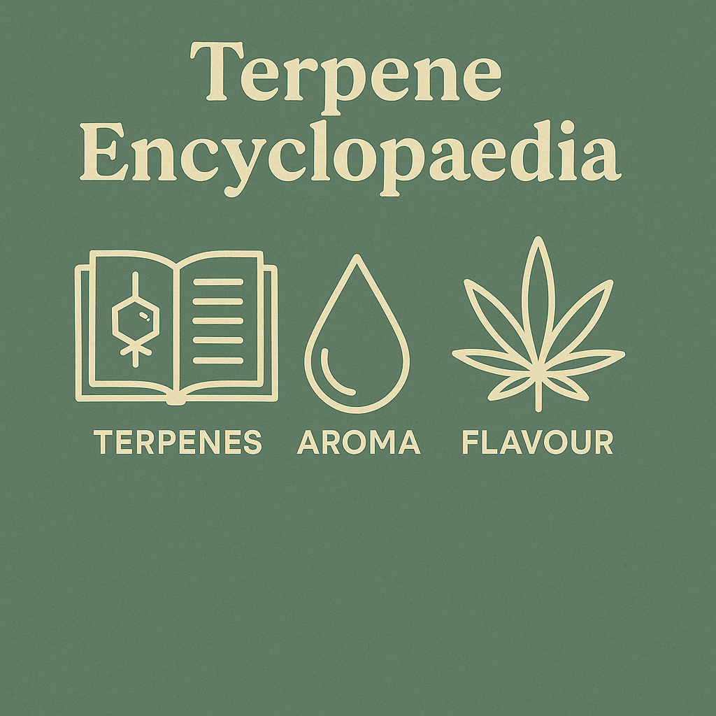 Terpene encyclopaedia educational graphic explaining cannabis terpenes, aroma and flavour compounds