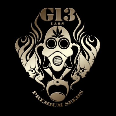 G13 Labs logo cannabis plant representing their classic hybrid genetics.