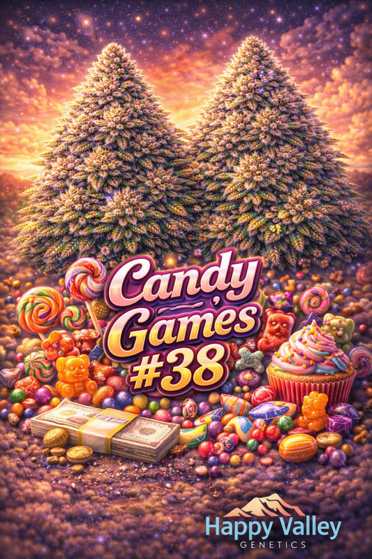 Hyper-realistic promotional artwork for Candy Games #38 Feminised Seeds by Happy Valley Genetics, featuring two dense frosty cannabis plants set against a vivid sunset sky, surrounded by colourful candies including gummy bears, lollipops, sprinkles, cupcakes, and assorted sweets, with bold strain text and the Happy Valley Genetics logo.
