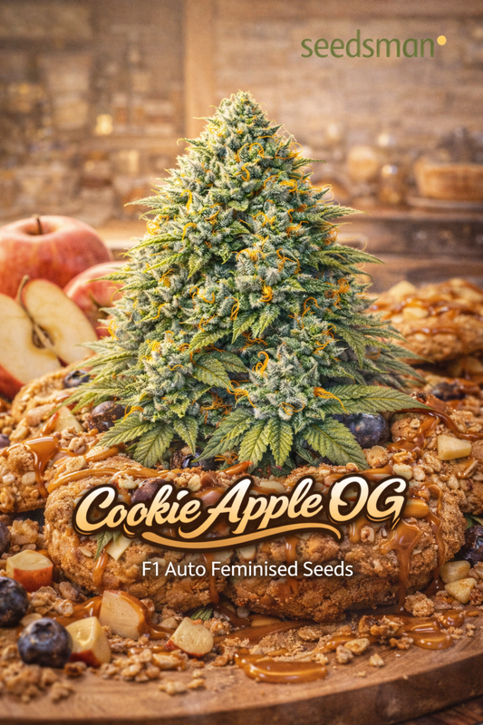 cookie apple og f1 auto feminised seeds artwork featuring a frosty cannabis plant surrounded by cookies and red apples with the seedsman logo