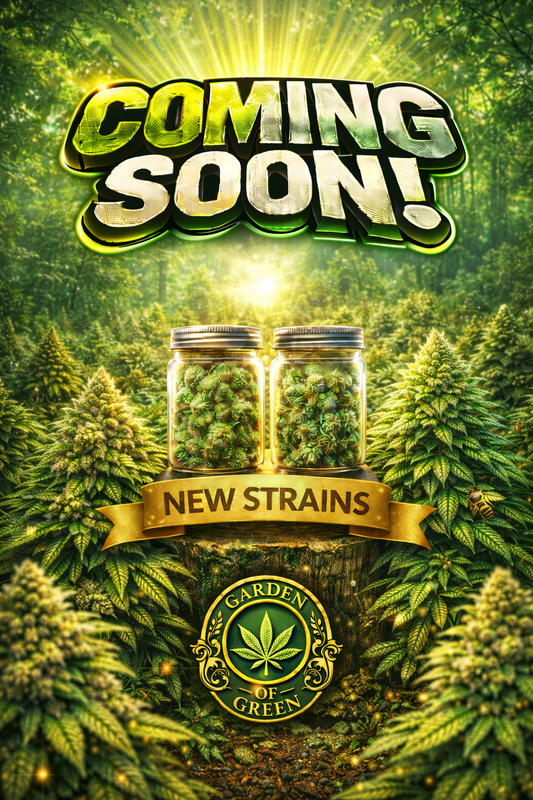 Blueberry Cookies Auto Feminised Seeds – Garden Of Green – Garden Of Green cannabis seeds (coming soon)