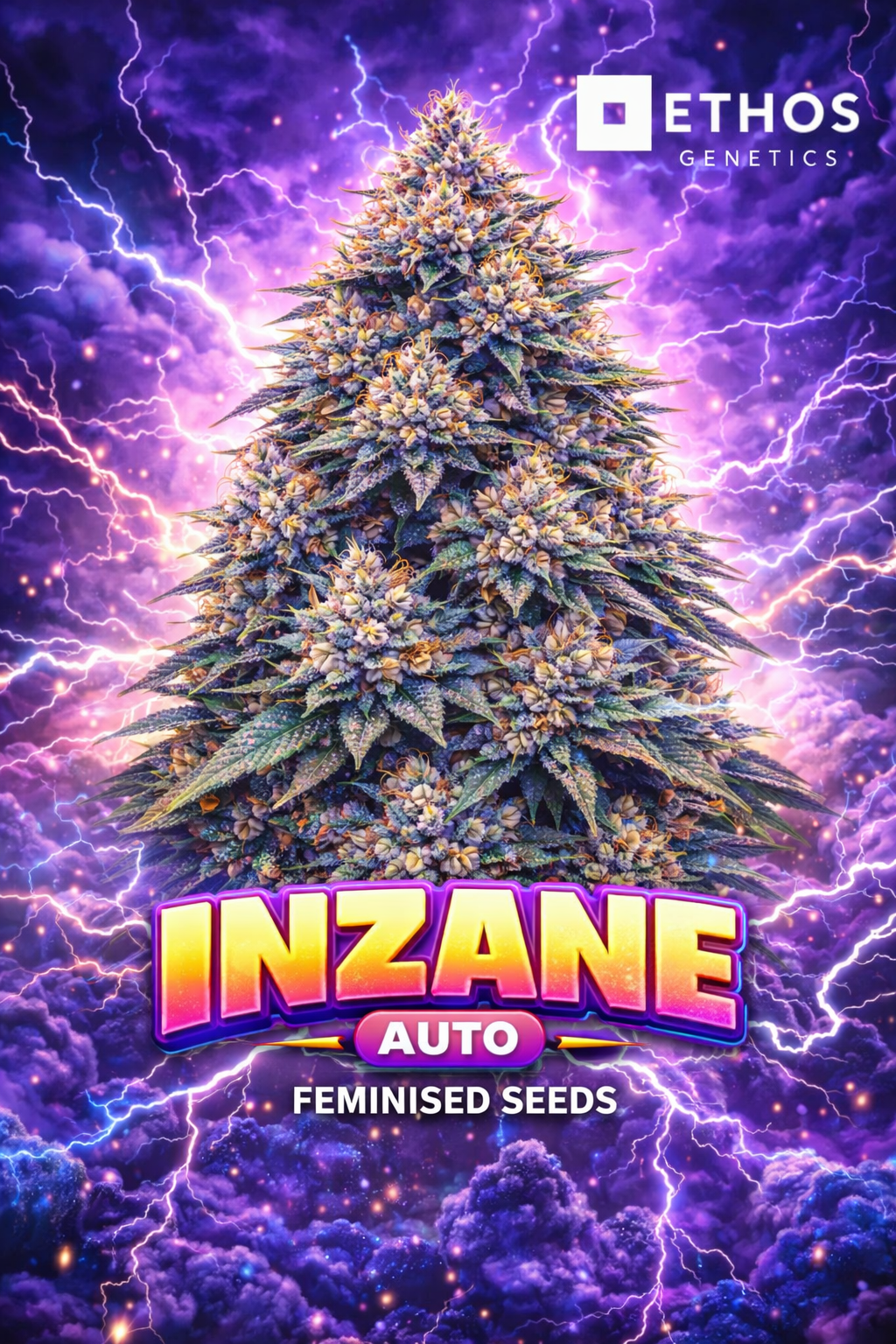 Promotional artwork for Inzane Auto Feminised Seeds by Ethos Genetics, featuring a uniquely shaped cannabis plant silhouette surrounded by dramatic purple storm clouds and bright lightning effects, with bold neon-style strain text and the Ethos Genetics logo displayed.