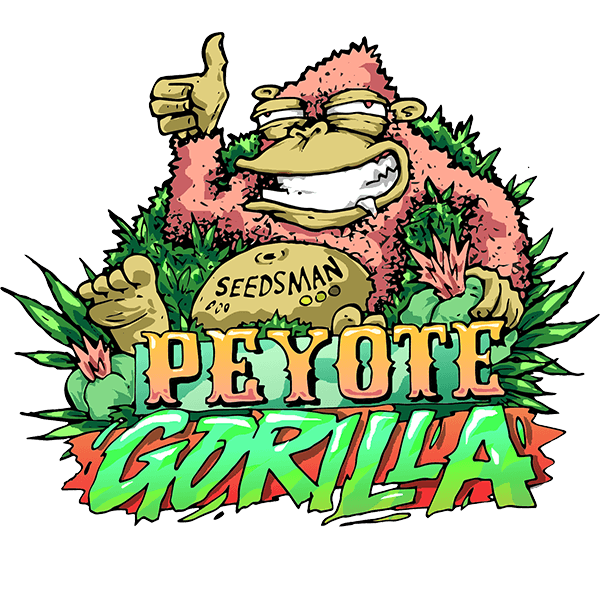 Seedsman Peyote Gorilla Feminised Seeds seed packaging