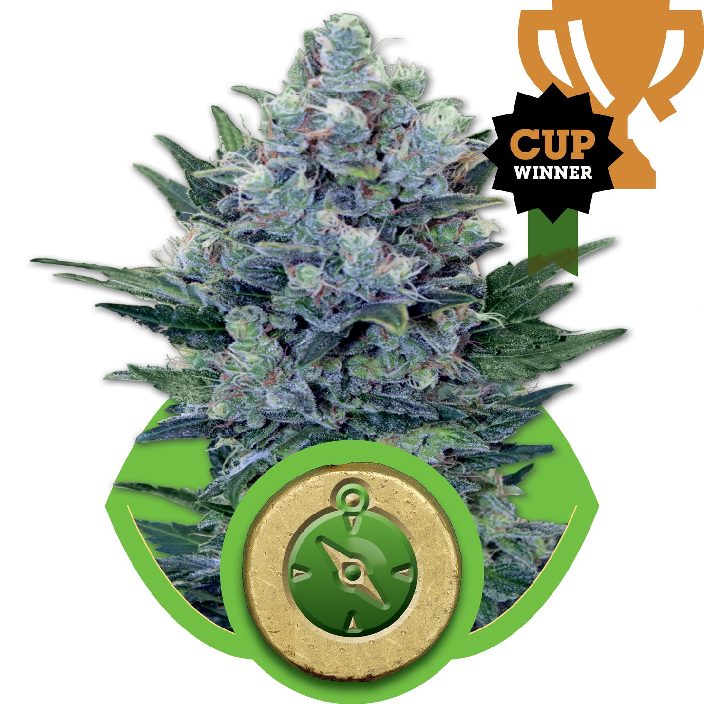 Royal Queen Seeds Northern Light Auto Feminised Seeds seed packaging