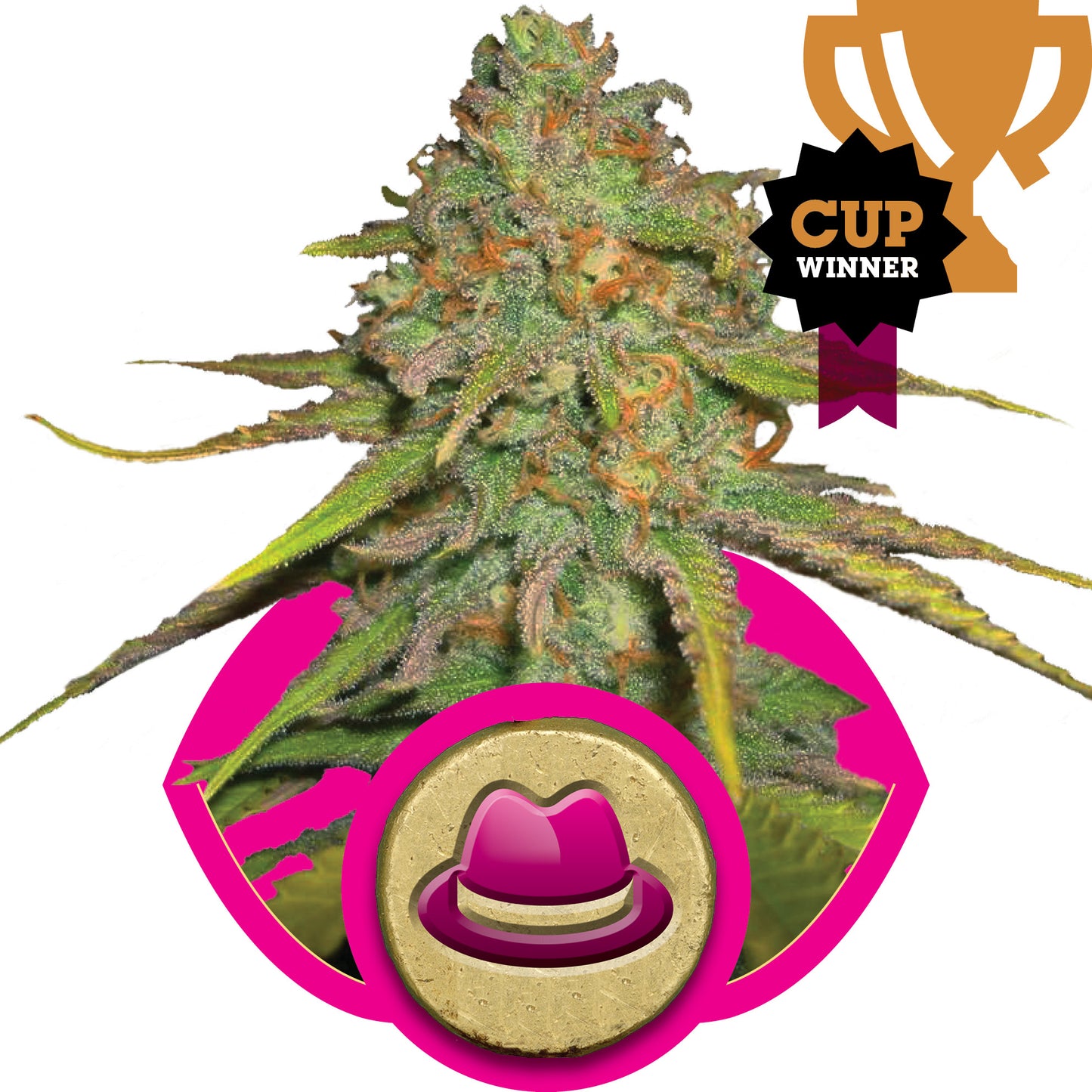 Royal Queen Seeds O.G. Kush Feminised Seeds seed packaging