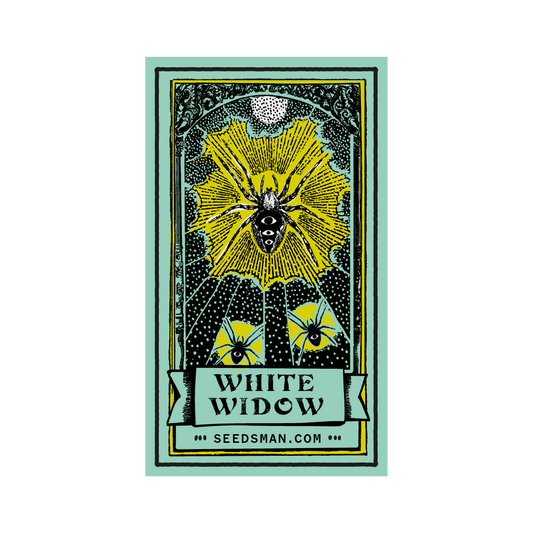 Seedsman White Widow Regular Seeds seed packaging