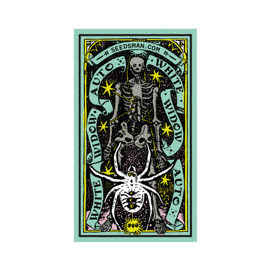 Seedsman White Widow Auto Feminised Seeds seed packaging