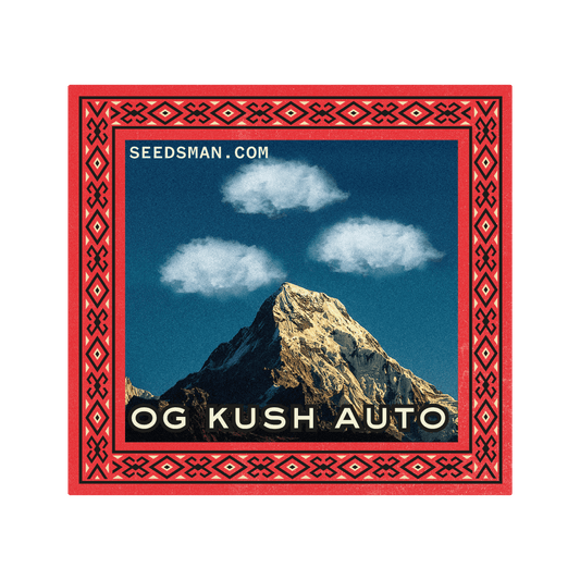 Seedsman OG Kush Auto Feminised Seeds seed packaging