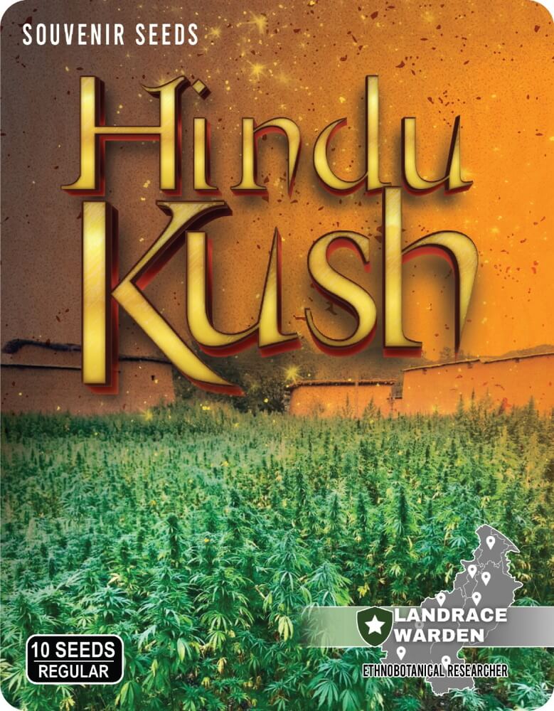 Landrace Warden Hindu Kush Regular Seeds seed packaging