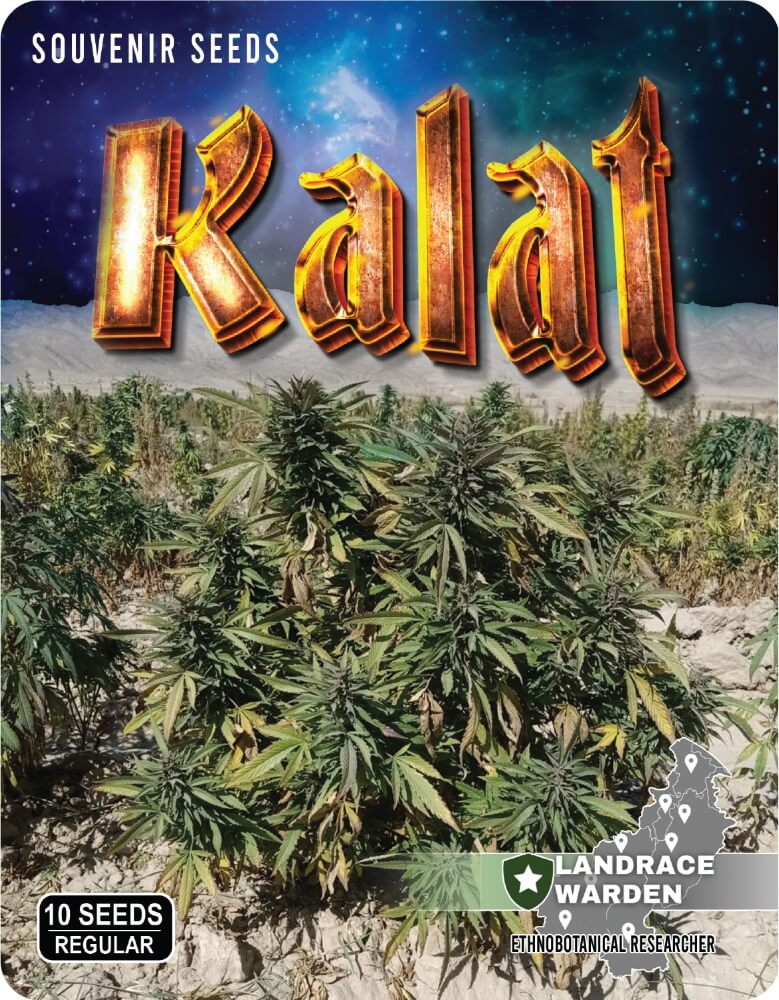 Landrace Warden Kalat Regular Seeds seed packaging