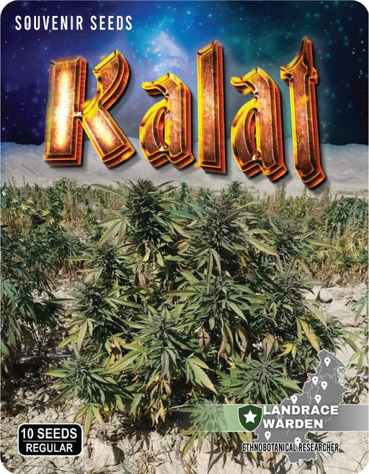 Landrace Warden Kalat Regular Seeds seed packaging