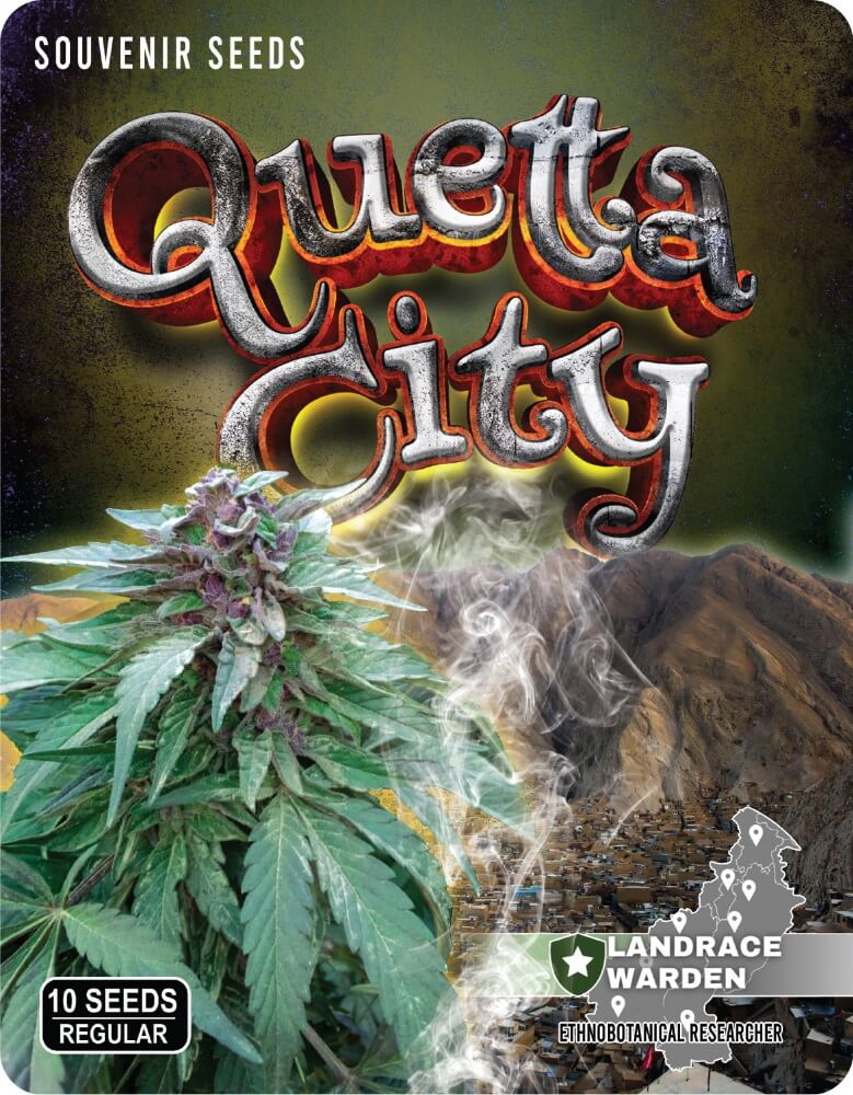 Landrace Warden Quetta City Regular Seeds seed packaging