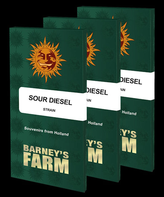 Barney's Farm Sour Diesel Feminised Seeds seed packaging