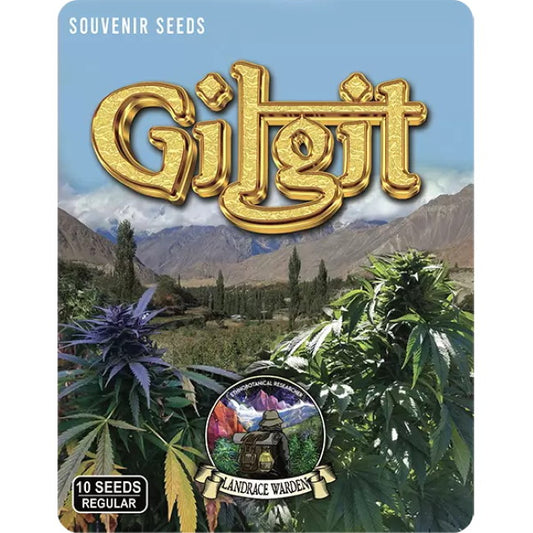 Landrace Warden Gilgit Purple Regular Seeds seed packaging