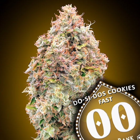 00 Seeds Do-Si-Dos Cookies FAST Feminised Seeds seed packaging